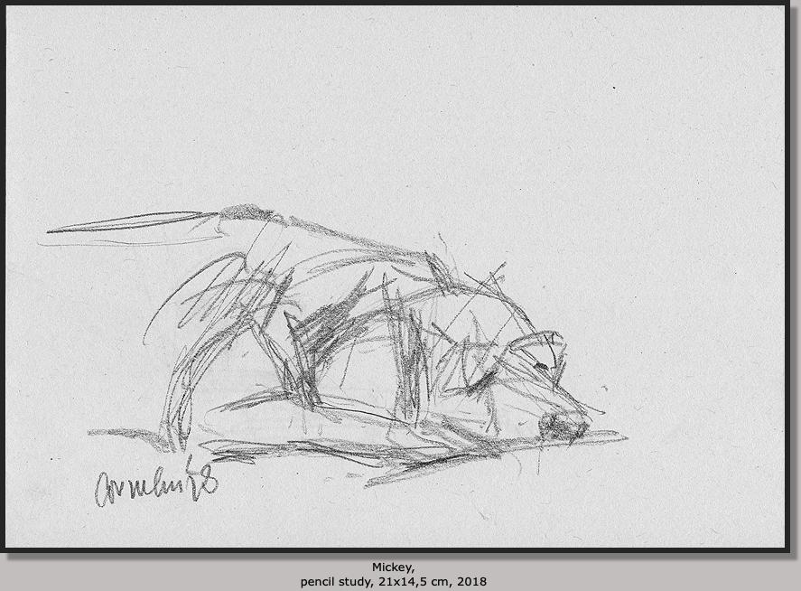 Mickey,  pencil study, 21x14,5 cm,